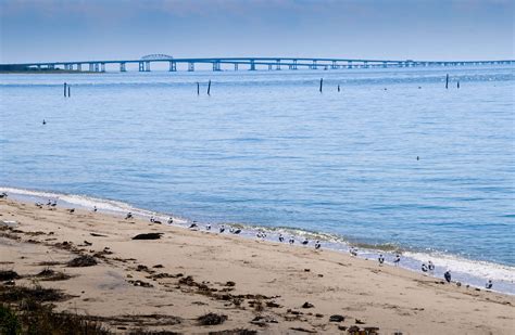 18 Beaches In Maryland To Have An Amazing 2026 Vacation