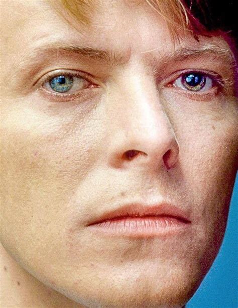 Pin by teresa angel on David Bowie | David bowie eyes, Bowie eyes ...