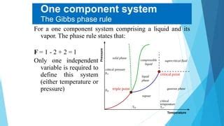 Image result for Gibbs Phase Rule Explained