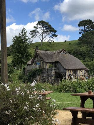 Things to do in Matamata (2025): Top nearby activities,popular ...