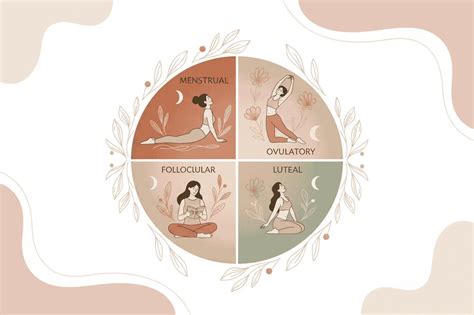 Cycle Syncing Guide for Women | Period Wellness & Empowerment ...