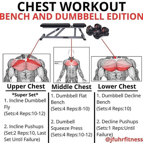 Upper Chest Workout Chart - Chart Comparison Table