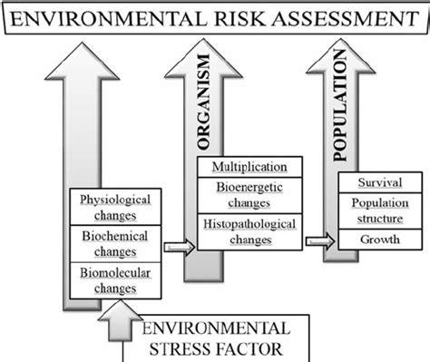 Biological Stress Examples 的图像结果