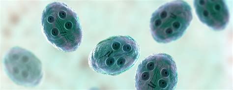 Image result for String Test