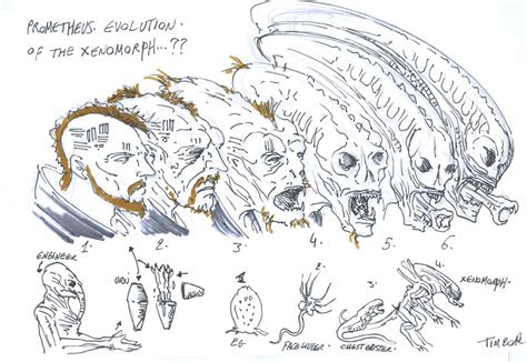 Image result for Prometheus Alien Evolution