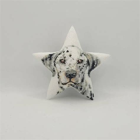 Image result for Star Butterfly Pattern in JavaScript