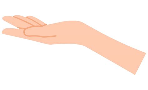 Flat hand facing up illustration 47107129 Vector Art at Vecteezy