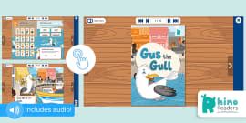 Level 2c Reading Scheme Book: Lots of Fun | Rhino Readers