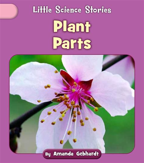 Plant Parts (Little Science Stories) eBook : Gebhardt, Amanda: Amazon ...