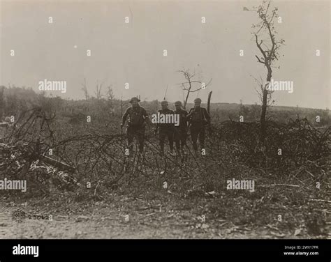 World War I Photos: American soldiers, possibly in the Argonne region ...