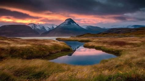 Nature View 的图像结果