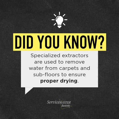 Image result for ServiceMaster Restore