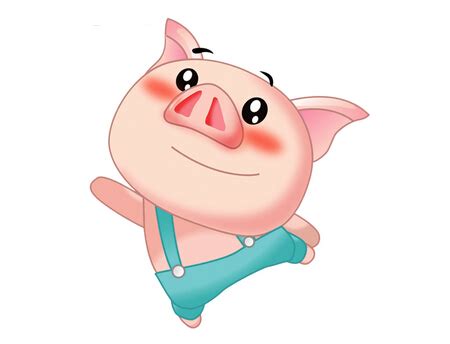 属猪2020年幸运色是什么，生肖猪今年不适合穿什 -属猪-生肖网