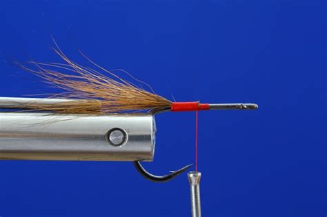 Cockroach Fly Tutorial 的图像结果