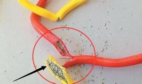 常见电缆损坏的问题有哪些