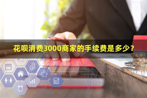 花呗消费3000商家的手续费是多少？ - 人人理财