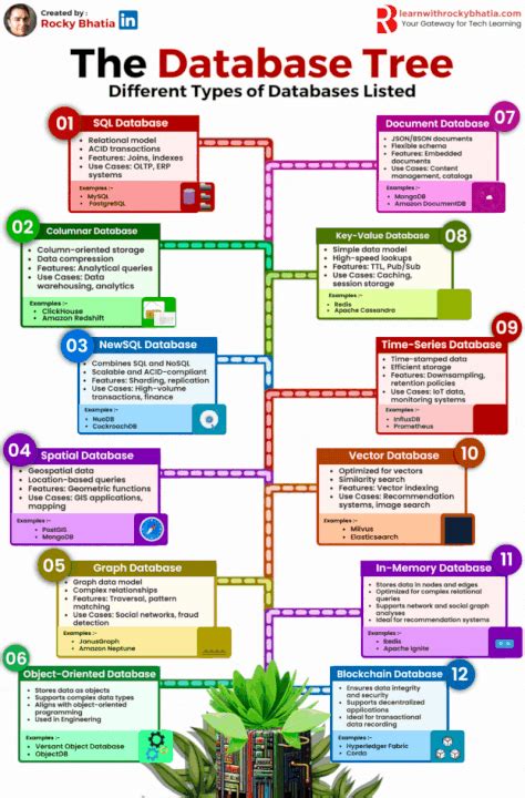Image result for Different SQL Databases