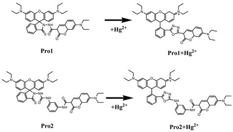 Theoretical Studies on Two-Photon Fluorescent Hg2+ Probes Based on the ...