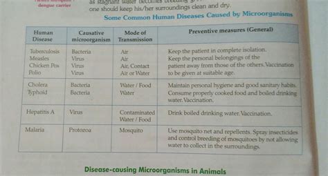 Make table of common disease that are cause by the micro organism in ...