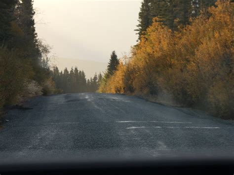 WRANGELL-ST. ELIAS TOURS (2026) All You Need to Know BEFORE You Go ...