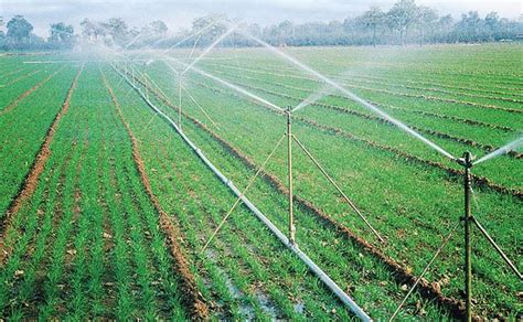 农业灌溉图片-正在进行农业灌溉的农田素材-高清图片-摄影照片-寻图免费打包下载