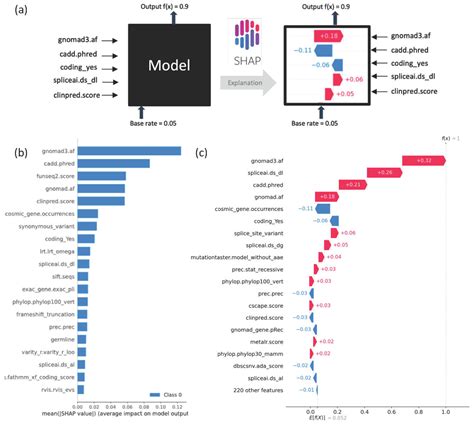 DITTO: An Explainable Machine-Learning Model for Transcript-Specific ...
