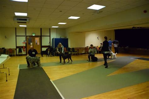 Yew Tree Canine Society Limit Show not held under RKC rules , The ...