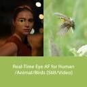 SONY Alpha ILCE-7M4/BQ IN5 Mirrorless Camera Body Only (4K 60P Video ...