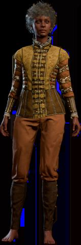 Splendid Gold Outfit - bg3.wiki