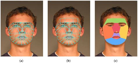 Face Beneath the Ink: Synthetic Data and Tattoo Removal with ...