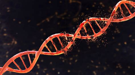 World Thalassemia Day: What you need to know about the blood-related ...