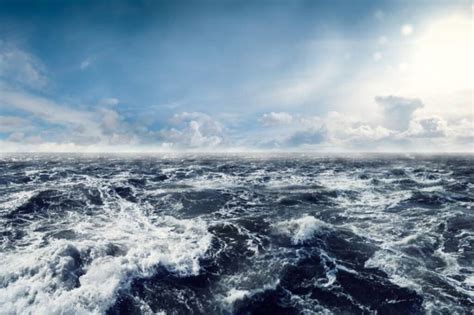 In the Sea: Ocean-Related 100+ Words - Edu Hyme