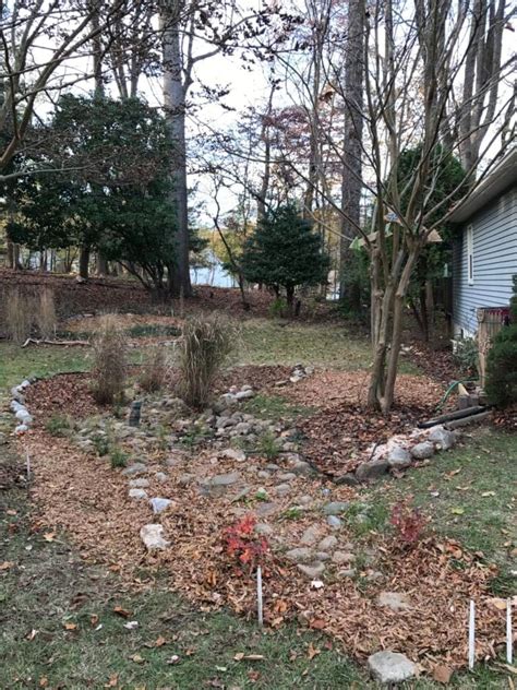 Native Plant Landscape Design 的图像结果