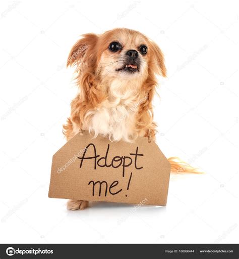 Image result for Adopt Me 2 Text
