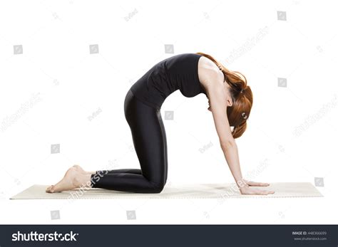 Marjaryasana : 283 images, photos et images vectorielles de stock | Shutterstock