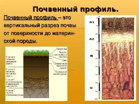 Морфология почв России - география, презентации