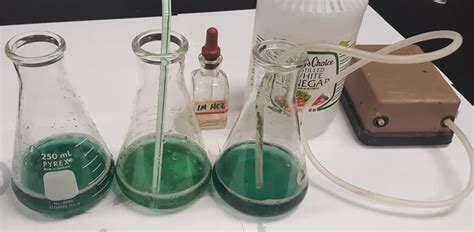 Simple Experiment Using Scientific Method 的图像结果