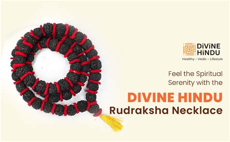 Divine Hindu 5 Mukhi Rudraksha Kantha Mala| Five Face (Panch Mukhi ...