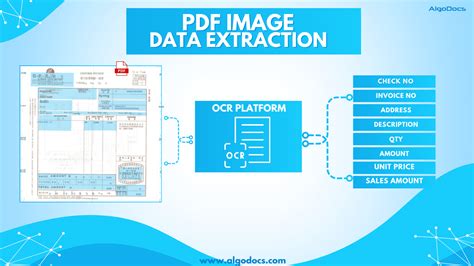 PDF Extraction Tutorial 的图像结果