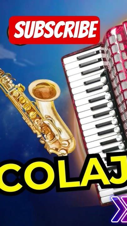 Image result for Sarbe Tutorial