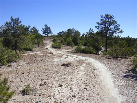 Ute Valley Park - Colorado Springs, CO - Uncover Colorado