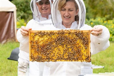 BIRD AND BEE HAWAII (2025) All You Need to Know BEFORE You Go (with ...