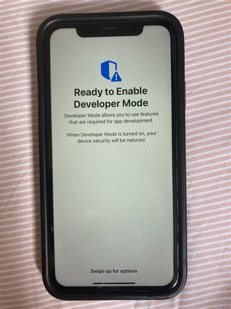 Developer Mode iOS 18 的图像结果