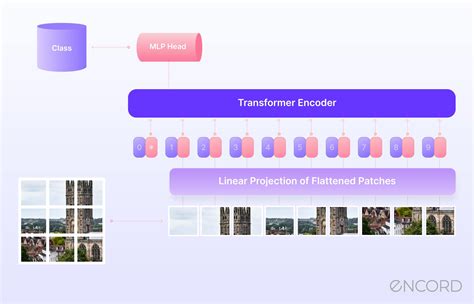 Image result for Vision Transformer Encoder/Decoder