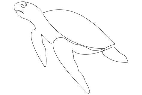 Marine Turtle Outline Vector Art, Icons, and Graphics for Free Download