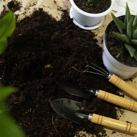 The best potting soil for indoor plants: a comprehensive guide ...