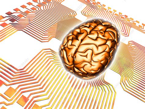 Artificial Intelligence Computer 的图像结果