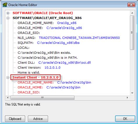 Oracle Database Client 的图像结果