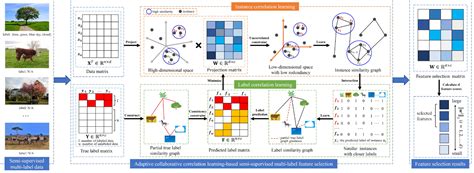 Image result for What Is Class Label in Machine Learning