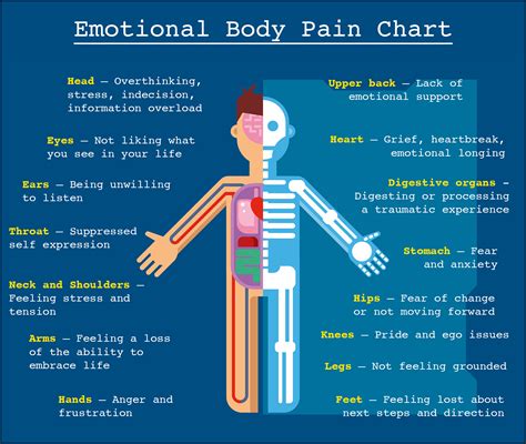 Emotional Body Pain Chart and Emotional Pain Chart - Revive Detox